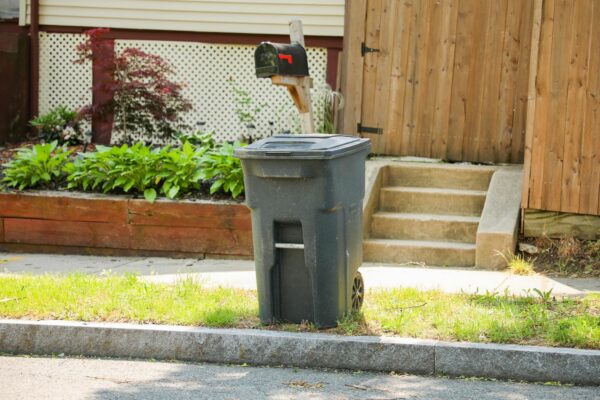 Cum să ascunzi coșurile de gunoi și recipientele pentru reciclare